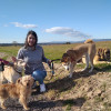 Flor María Mariño Albernas, Pet sitter in Villanueva de Perales
