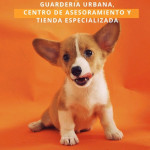 Patricia Titanes, Pet sitter in Gijón