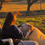 Ana Domínguez, Paseadora de perros en Albacete
