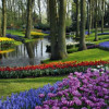 Carlos Quito, Jardinero en San Javier