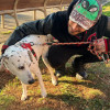 Aitor León García, Dog walker in Mataró