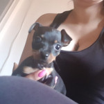 Mariana Betancur, Pet sitter in Leganés