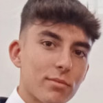 Álvaro Molina Senent, Passejador de gossos a Valencia