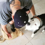 Jorge Sierra, Passejador de gossos a Valencia