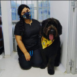 Daniela Guevara, Pet sitter in Madrid
