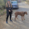 Ana Murguia, Pet sitter in Barcelona