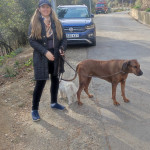Ana Murguia, Pet sitter in Barcelona