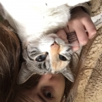 Miriam Aceituno Cobreros, Cuidadora de mascotes a Sevilla