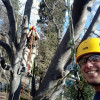 Arpa Arboricultura Y Paisajismo, Gardener in Málaga