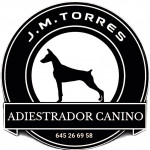 Jose Mateu, Ensinistrador de gossos a Santa Cruz de Tenerife