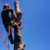 Gustavo Silvestre, Gardener in Canovelles