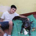 Maximiliano Perez, Pet sitter in Palma