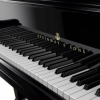 Fabiola Gelso, Piano tutor in Mataró