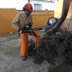 Edu Calderón Lago, Gardener in Chiclana de la Frontera