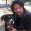 Ivan Abad Alcala, Dog walker in Madrid