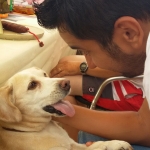 Eduardo Acevedo Gil, Pet sitter in Manises