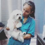 Jennifer Arriete Collet, Perruquera canina a Murcia