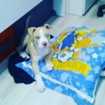 Jose Heredia Plazuelo, Canguro en Alcalá de Henares