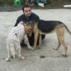 Alvaro Castro gomez, Dog trainer in Bilbao