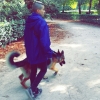 Fkc Luu, Dog walker in Madrid