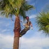 Mantenimiento de jardines y Zonas deportivas, Gardener in Benalup-Casas Viejas