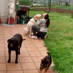 Miriam Quintana Díez, Pet sitter in Santander