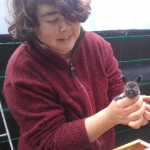 Belezinda Jiménez de castro, House cleaner in Zalamea la Real