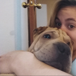 Pau Martinez, Pet sitter in Santander