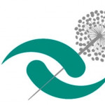 Pmacupuntura Medicina China, Acupuncturist in Palma