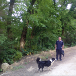 José María Vázquez Granado, Pet sitter in Fuengirola