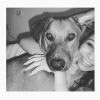 Lidia Lafuente, Paseadora de perros en Cornellà de Llobregat