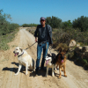 Abdon Zaragoza, Dog walker in Reus