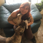 Rebeca Alan, Paseadora de perros en Torrejón de Ardoz