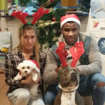 Jose Akueson Picatoste, Pet sitter in Marbella