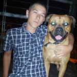 Daniele Neri, Dog walker in Valencia