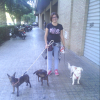 Helena Seguer Martinez, Dog walker in Llíria