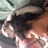 Karen Juliana Mejia Suarez, Passejadora de gossos a Vélez-Málaga