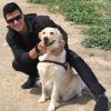 Roberto Rodríguez Ramos, Pet sitter in Aranjuez