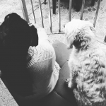 Patricia Solís, Pet sitter in Jerez de la Frontera