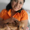 Rosa Pihuave Zambrano, Pet sitter in Orihuela