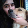 Beatriz Suano, Pet sitter in El Puerto de Santa María