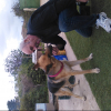 Jose Anton, Cuidador de mascotes a Cartagena