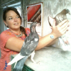 Eva Maria Muñoz Rubio, Dog walker in San Fernando