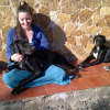 Chiara Lorenzini, Cuidadora de mascotes a Antigua