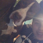 Iris Crende Rodríguez, Pet sitter in Lugo