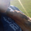Priscila Loureiro, Pet sitter in Narón
