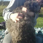 Ana Frutos, Pet sitter in Zamora