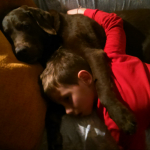 Susana Tablado Lopez, Pet sitter in Vigo