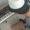 Ruymi Martín, Pianista a Valencia