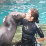 Virginia Diaz Brañas, Cuidadora de mascotas en Madrid